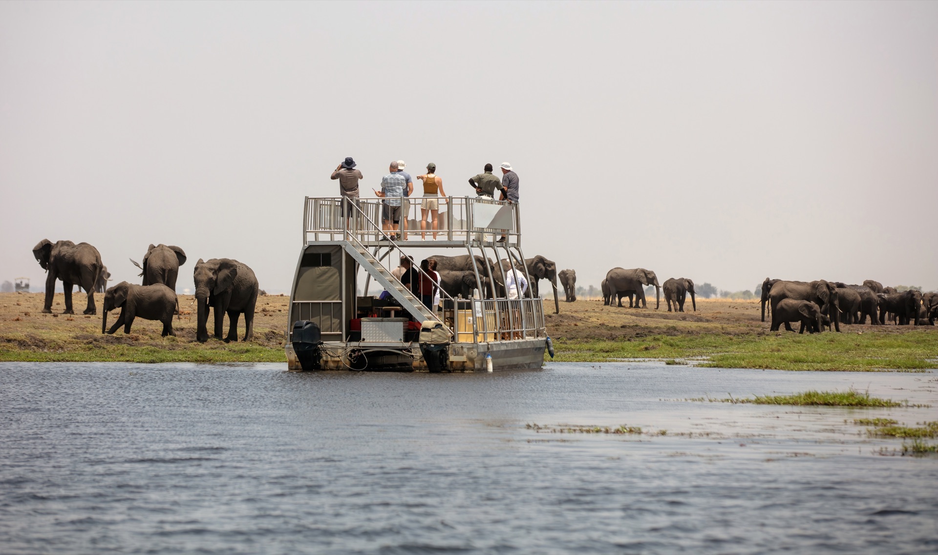 Boat with tourists watching African elephants from the water