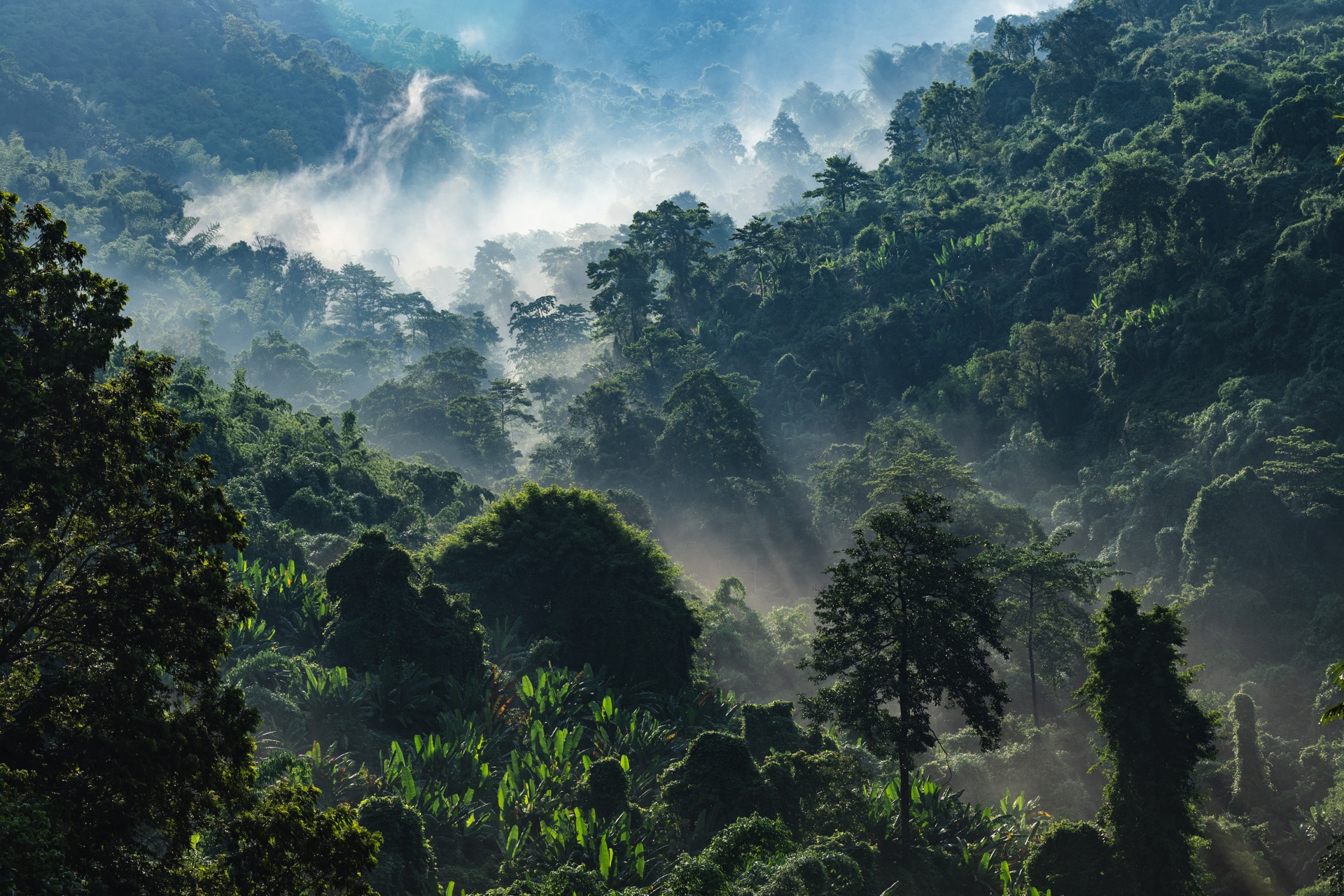 Scenic views from Uganda