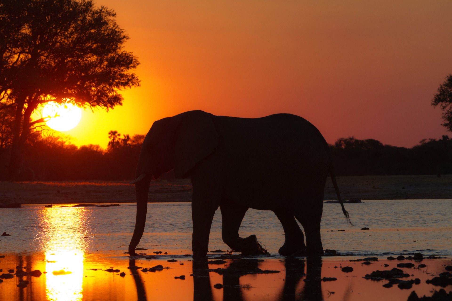 Dramatic Zimbabwe landscape near Victoria Falls