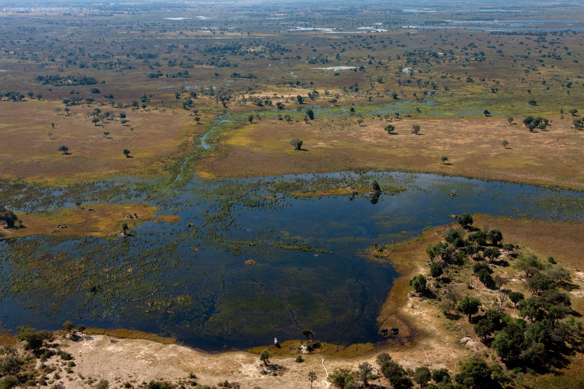 Diverse Botswana ecosystems