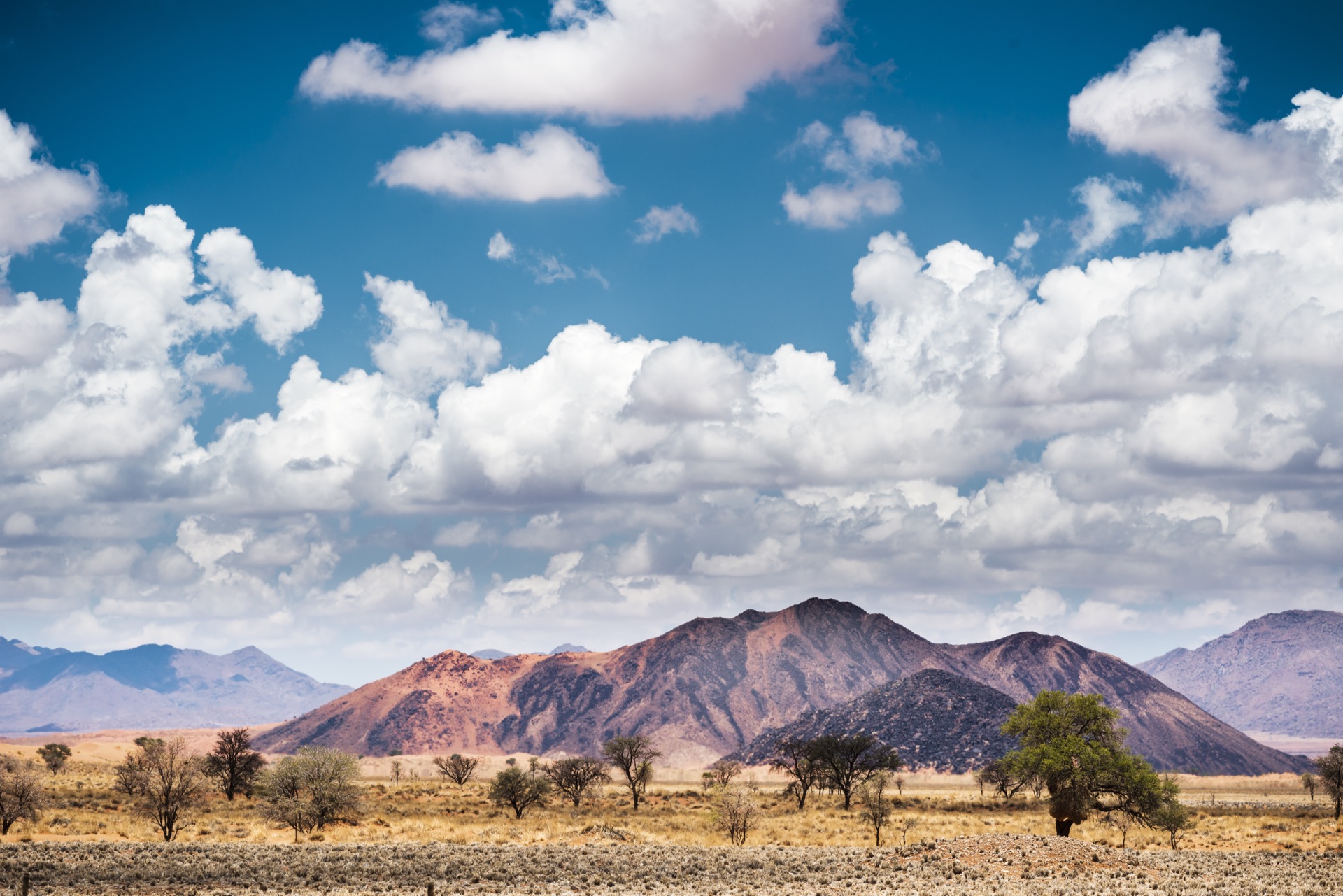 Vast Namib Desert landscape with red sand dunes stretching to horizon